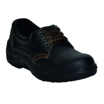 287373_9087128633374