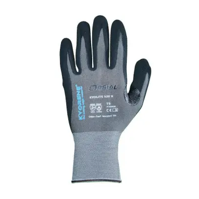 297725_700C0101509_2