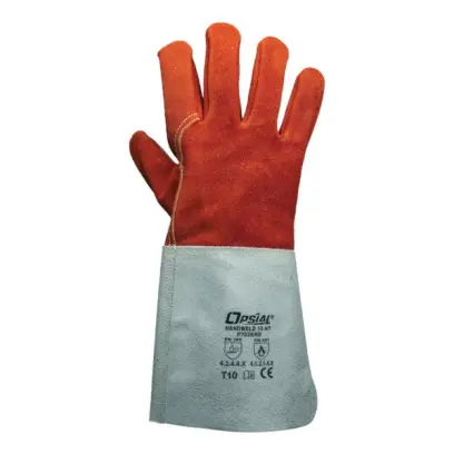 315497_700C0203878_2